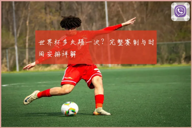 世界杯多久踢一次？完整赛制与时间安排详解